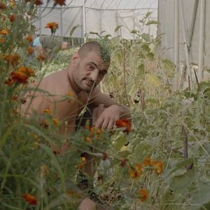 Photo Presque libres