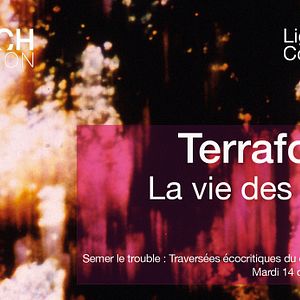 Photo Scratch Collection : Terraformer : La vie des formes