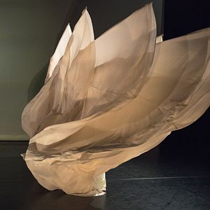 Photo Loïe Fuller : danser la lumière