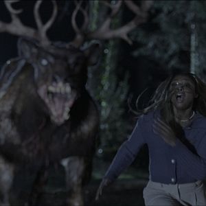 Photo Bambi la vengeance