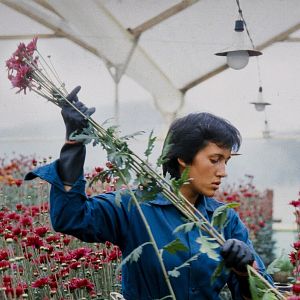 Photo Amour, femmes et fleurs