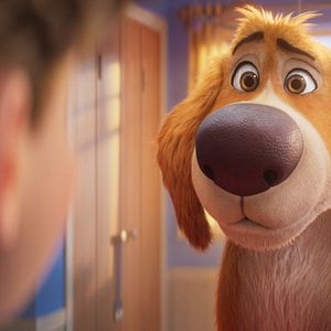 Photo Biscuit le chien fantastique