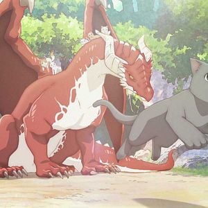 Photo Cats and Dragon