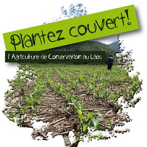 Photo Plantez couvert