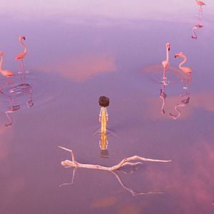 Photo La Fille dans les nuages
