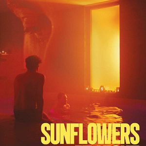 Photo Sunflowers at Night