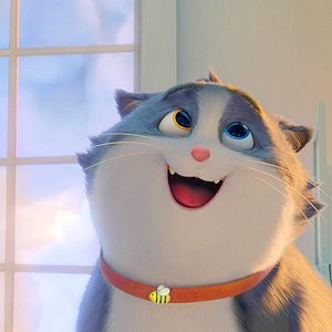 Photo Croquette le chat merveilleux