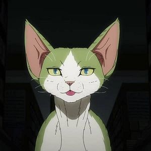 Photo Nyaight of the Living Cat