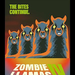 Photo Rêves Productions