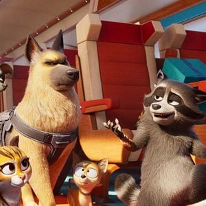 Photo Falcon Express