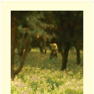 Photo Dry Leaf