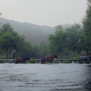 Photo Covas do Barroso, chronique d'une lutte collective