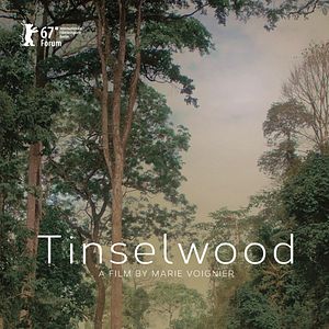 Photo Tinselwood