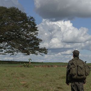 Photo Horizonte