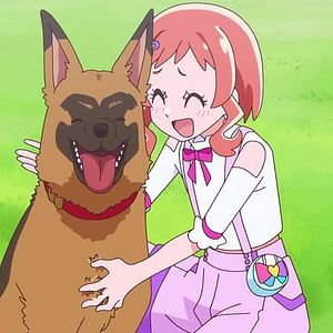 Photo Wonderful Precure!