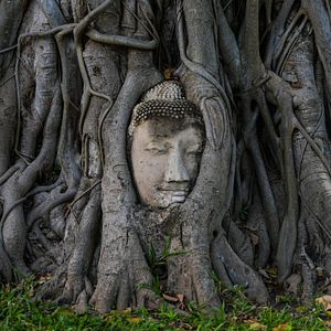 Photo Thaïlande, le pays des Hommes libres