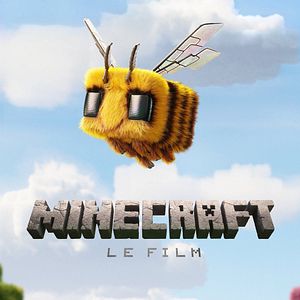 Photo Minecraft, Le Film