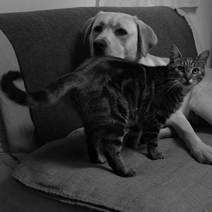 Photo L'amour aurait suffi même à Nietsche