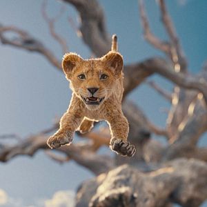 Photo Mufasa : Le Roi Lion