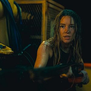 Photo Dangerous Animals