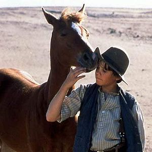 Photo Crinière au vent, une âme indomptable