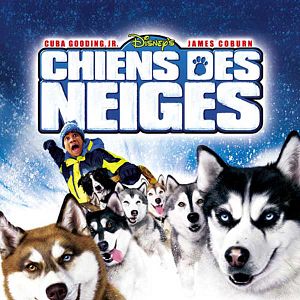 Photo Chiens des neiges