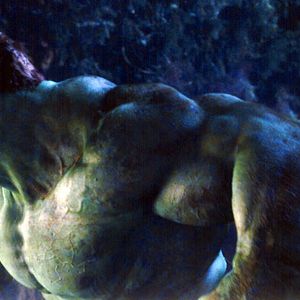 Photo Hulk