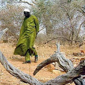 Photo Je chanterai pour toi