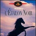 Photo L'Etalon noir