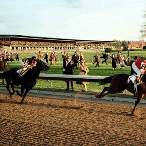 Photo Pur Sang, la légende de Seabiscuit