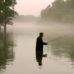 Photo Big Fish