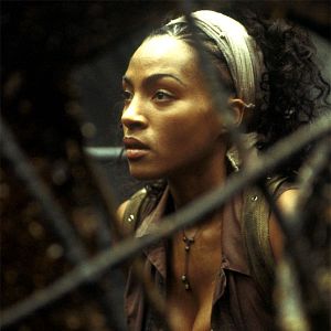Photo Matrix Revolutions