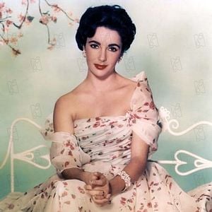 Photo Elizabeth Taylor