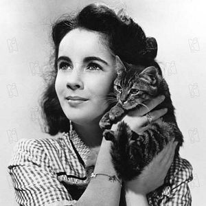 Photo Elizabeth Taylor