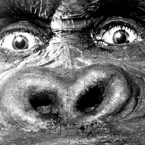 Photo Ernest B. Schoedsack