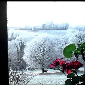 Photo La Vie comme elle va