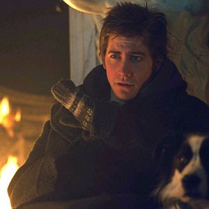 Photo Le Jour d'après