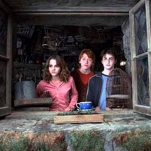 Photo Alfonso Cuarón