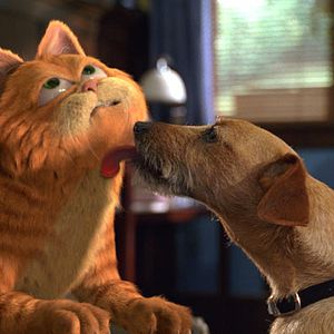 Photo Garfield