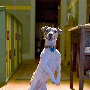 Photo Lawrence Guterman