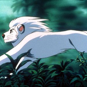 Photo Yoshio Takeuchi