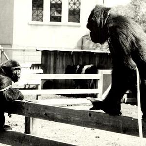 Photo Barbet Schroeder