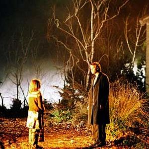 Photo Stephen T. Kay