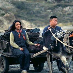 Photo Wang Chao