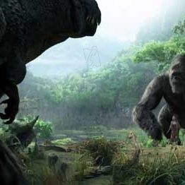 Photo King Kong