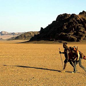 Photo Camille Summers