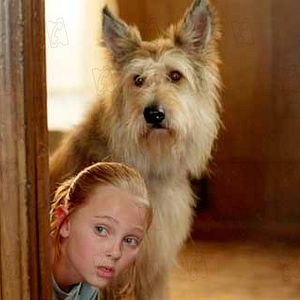 Photo AnnaSophia Robb