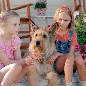 Photo AnnaSophia Robb