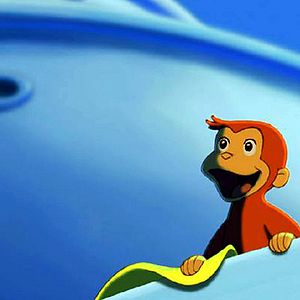 Photo Matthew O'Callaghan