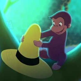 Photo Matthew O'Callaghan